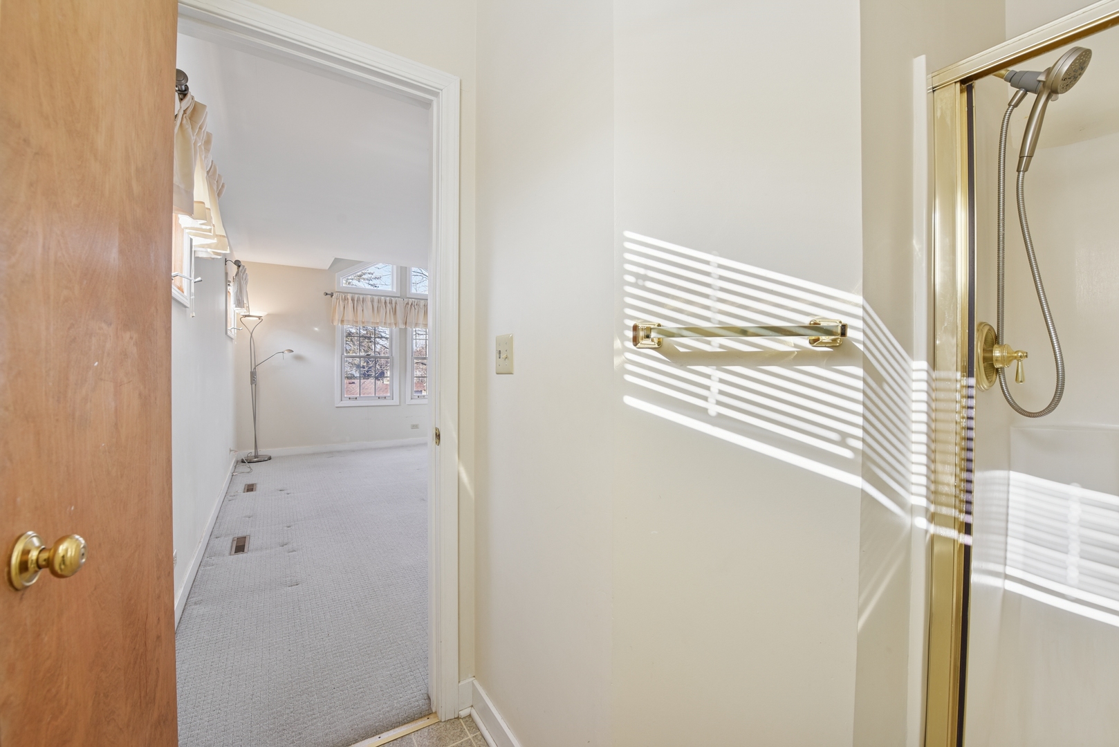 240 North Willow Road Elmhurst, IL 60126 - Photo 20 of 45 a bathroom with a shower and a sink