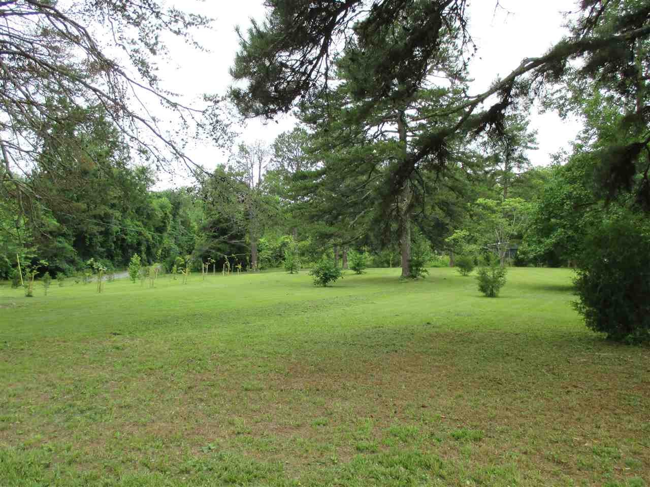 0 Cunningham Drive Decatur, TN 37322 - Photo 7 of 34 Gallery Image 7