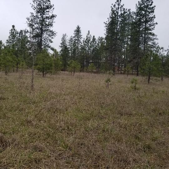 12605 Agate Road Eagle Point, OR 97524 - Photo 1 of 10 a view of a outdoor space