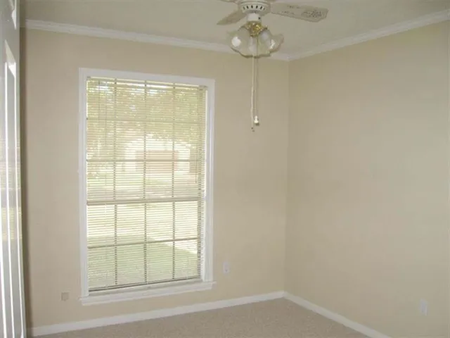 a close view of closet