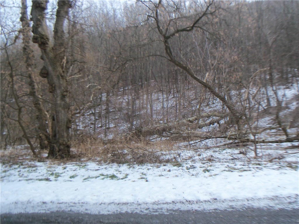 0 Strong Hill Road Naples, NY 14512 - Photo 1 of 1