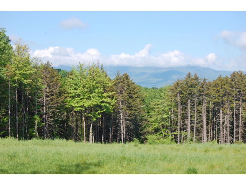 1019 Palmer Hill Road Waitsfield, VT 05673 - Photo 36 of 36