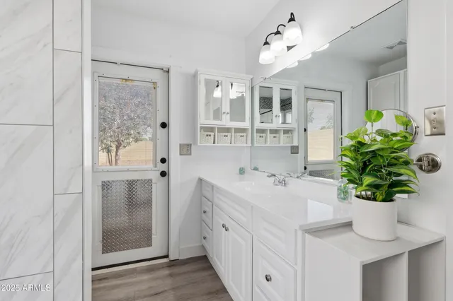 a bathroom with a granite countertop sink a potted plant and a mirror