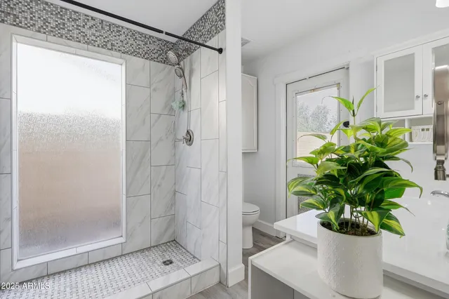 a bathroom with a shower a mirror and a plant