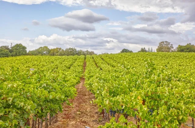 $2,199,000 | 15881 Highway 12, Sonoma, CA 95476