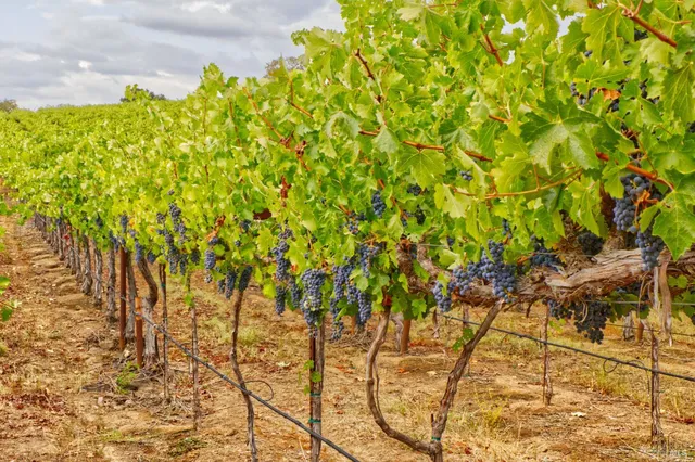 $2,199,000 | 15881 Highway 12, Sonoma, CA 95476