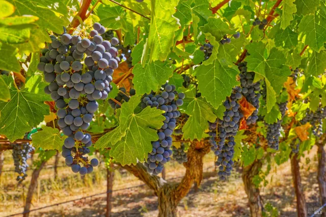 $2,199,000 | 15881 Highway 12, Sonoma, CA 95476