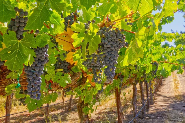 $2,199,000 | 15881 Highway 12, Sonoma, CA 95476