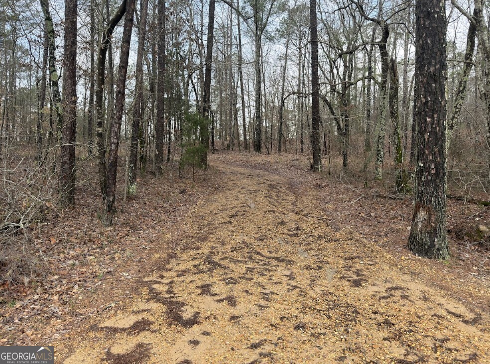 0 Otts Road Fayette, AL 35555 - Photo 3 of 17 a view of outdoor space with trees