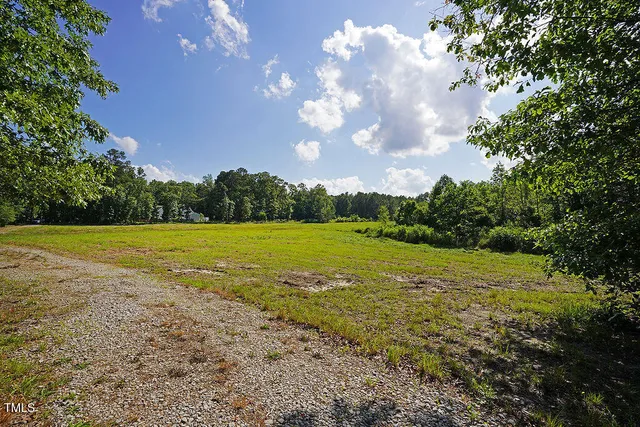 a view of a field with an ocean