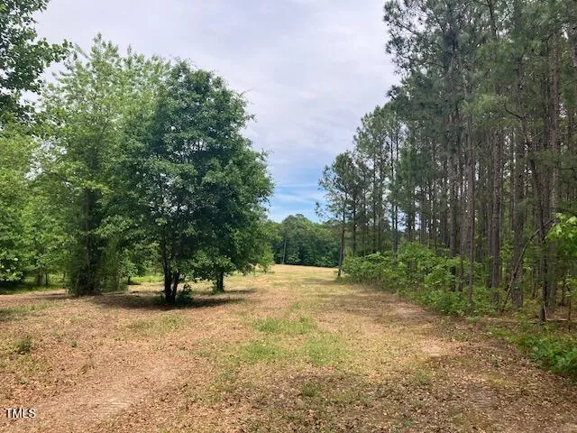 a view of outdoor space with trees all around