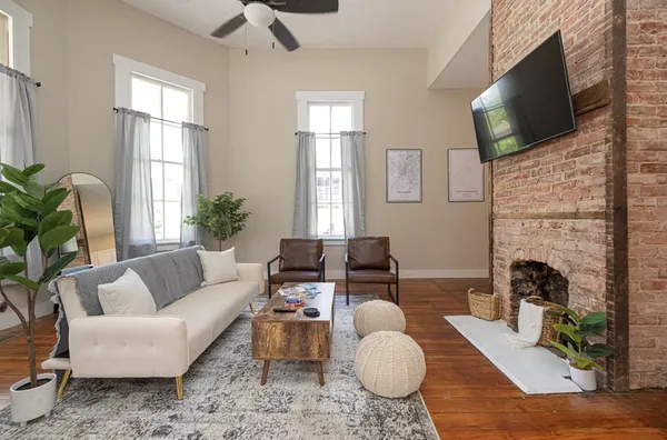 a living room with furniture and a potted plant