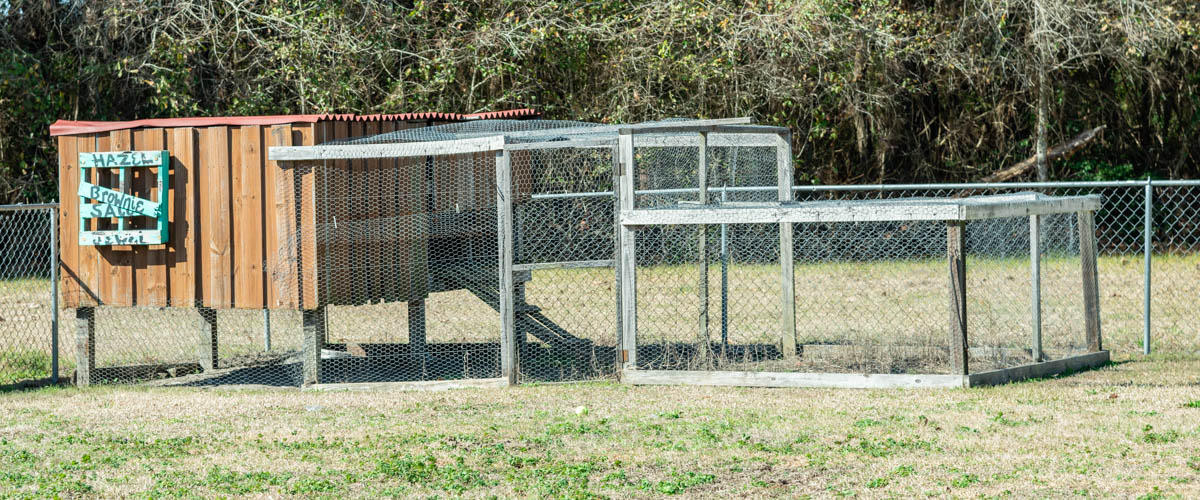 1531 Stokes Road Walterboro, SC 29488 - Photo 11 of 49 DSC_4100