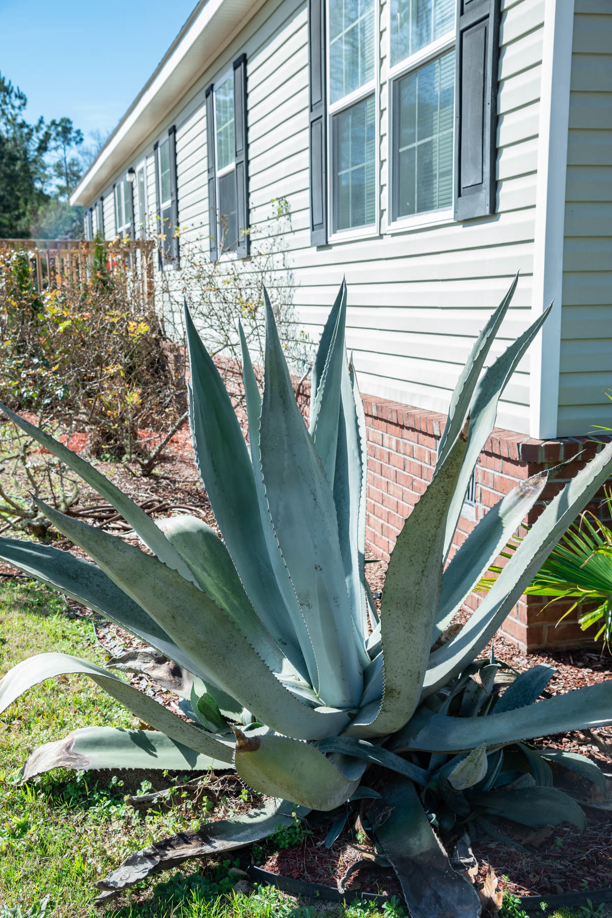 1531 Stokes Road Walterboro, SC 29488 - Photo 3 of 49 DSC_4103