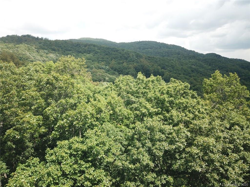 459 Sandy Flat Mountain Road Fletcher, NC 28732 - Photo 1 of 16