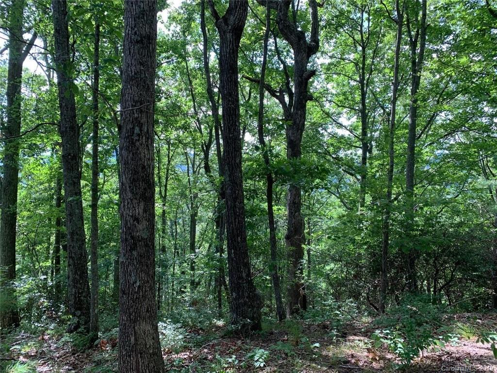 459 Sandy Flat Mountain Road Fletcher, NC 28732 - Photo 2 of 16