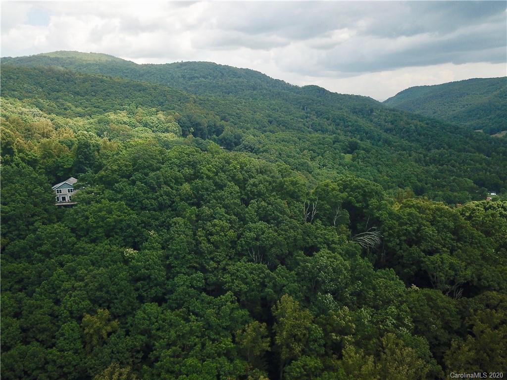 459 Sandy Flat Mountain Road Fletcher, NC 28732 - Photo 11 of 16