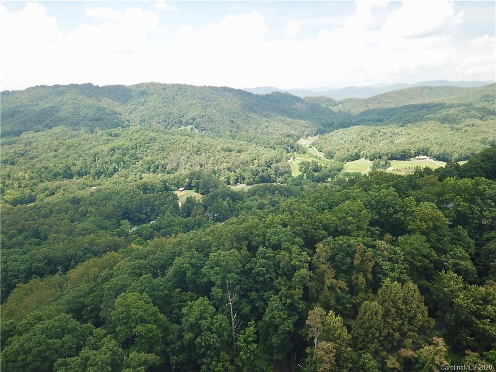 459 Sandy Flat Mountain Road Fletcher, NC 28732 - Photo 12 of 16