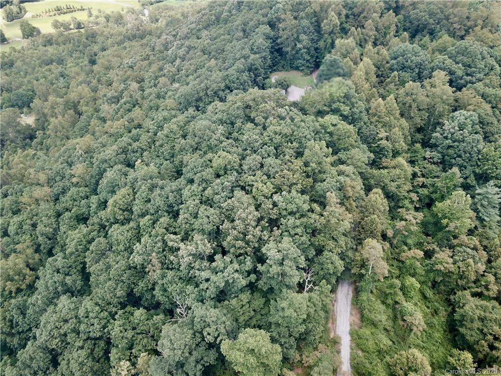 459 Sandy Flat Mountain Road Fletcher, NC 28732 - Photo 13 of 16
