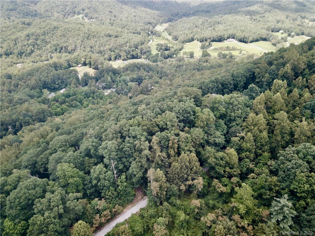 459 Sandy Flat Mountain Road Fletcher, NC 28732 - Photo 14 of 16