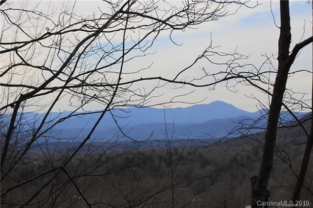 459 Sandy Flat Mountain Road Fletcher, NC 28732 - Photo 15 of 16