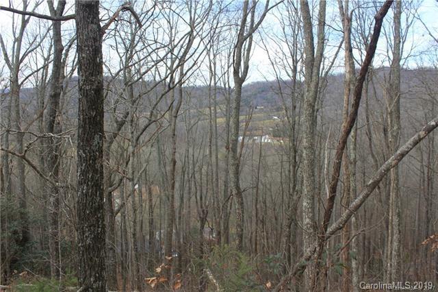 459 Sandy Flat Mountain Road Fletcher, NC 28732 - Photo 16 of 16