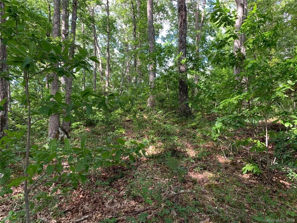 459 Sandy Flat Mountain Road Fletcher, NC 28732 - Photo 3 of 16
