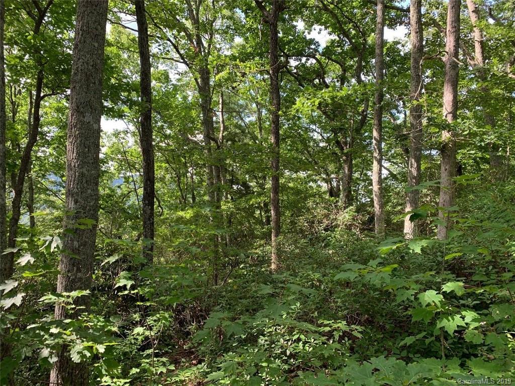 459 Sandy Flat Mountain Road Fletcher, NC 28732 - Photo 4 of 16