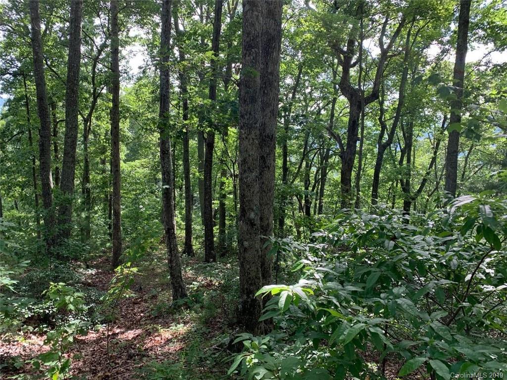 459 Sandy Flat Mountain Road Fletcher, NC 28732 - Photo 5 of 16
