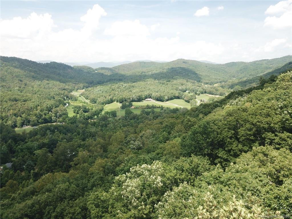 459 Sandy Flat Mountain Road Fletcher, NC 28732 - Photo 9 of 16