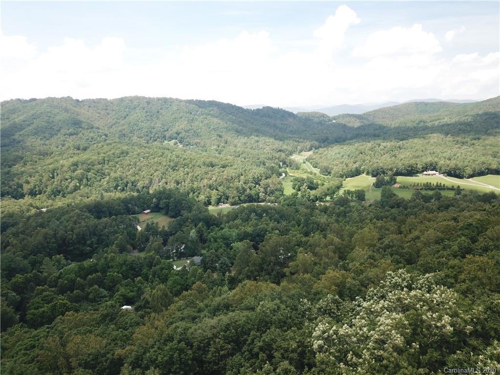 459 Sandy Flat Mountain Road Fletcher, NC 28732 - Photo 10 of 16
