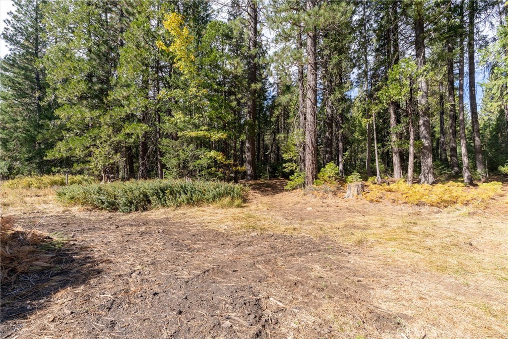 7501 Maddrill Lane Butte Meadows, CA 95942 - Photo 38 of 70