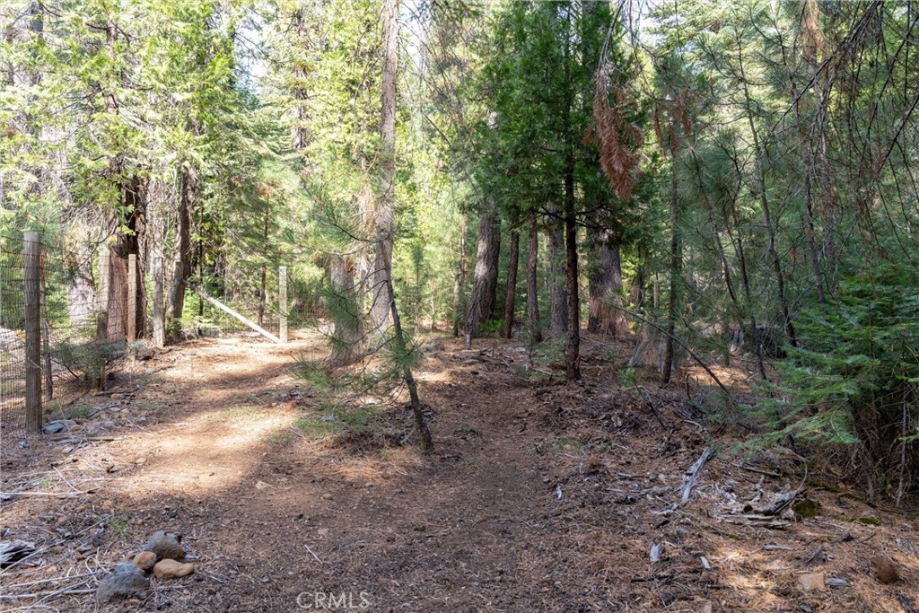7501 Maddrill Lane Butte Meadows, CA 95942 - Photo 39 of 70 a view of a forest with trees in the background