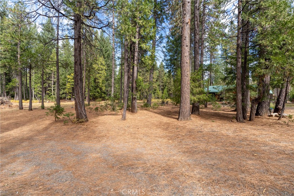 7501 Maddrill Lane Butte Meadows, CA 95942 - Photo 48 of 70 a view of outdoor space with lots of trees