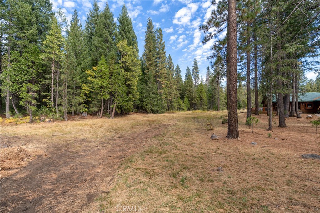 7501 Maddrill Lane Butte Meadows, CA 95942 - Photo 49 of 70 a view of outdoor space with trees