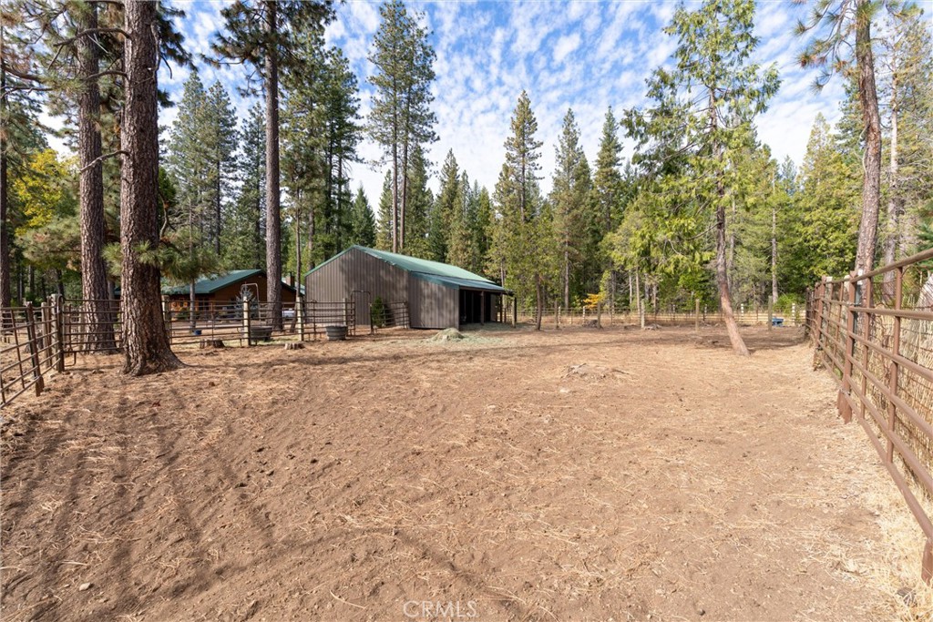7501 Maddrill Lane Butte Meadows, CA 95942 - Photo 59 of 70 a backyard of a house with large trees and outdoor seating