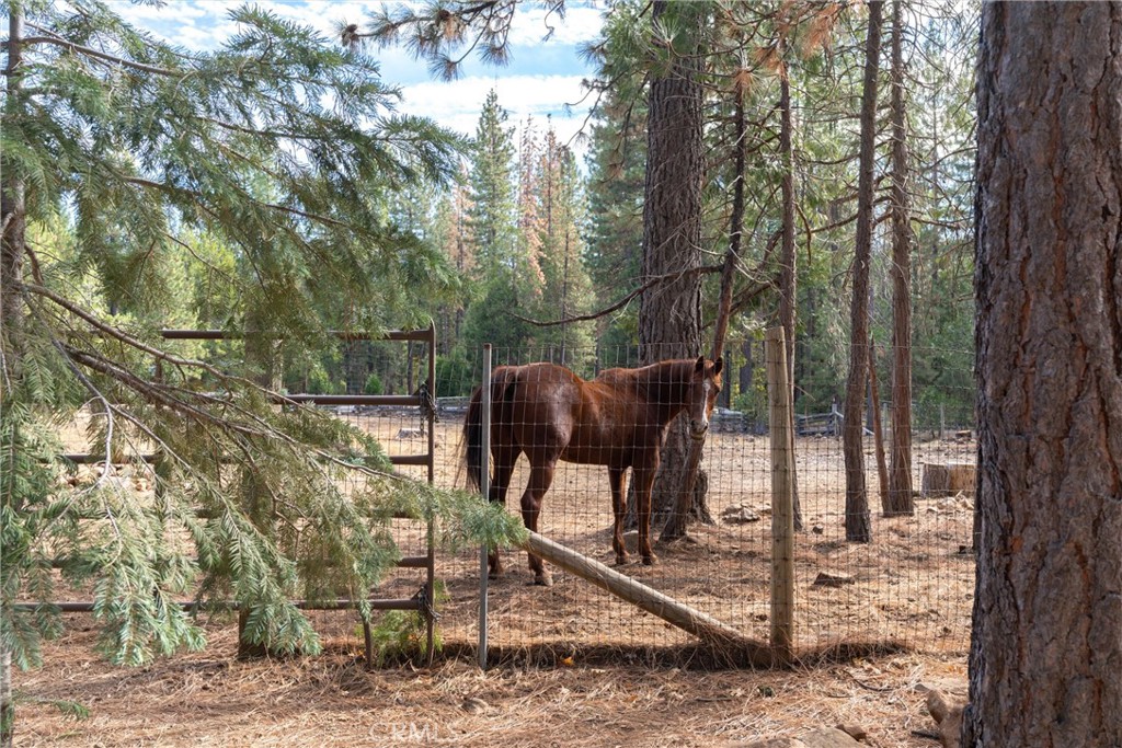 7501 Maddrill Lane Butte Meadows, CA 95942 - Photo 60 of 70 a view of outdoor space with seating area