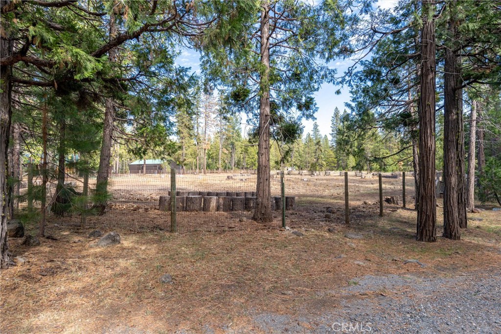 7501 Maddrill Lane Butte Meadows, CA 95942 - Photo 61 of 70 a view of backyard with trees