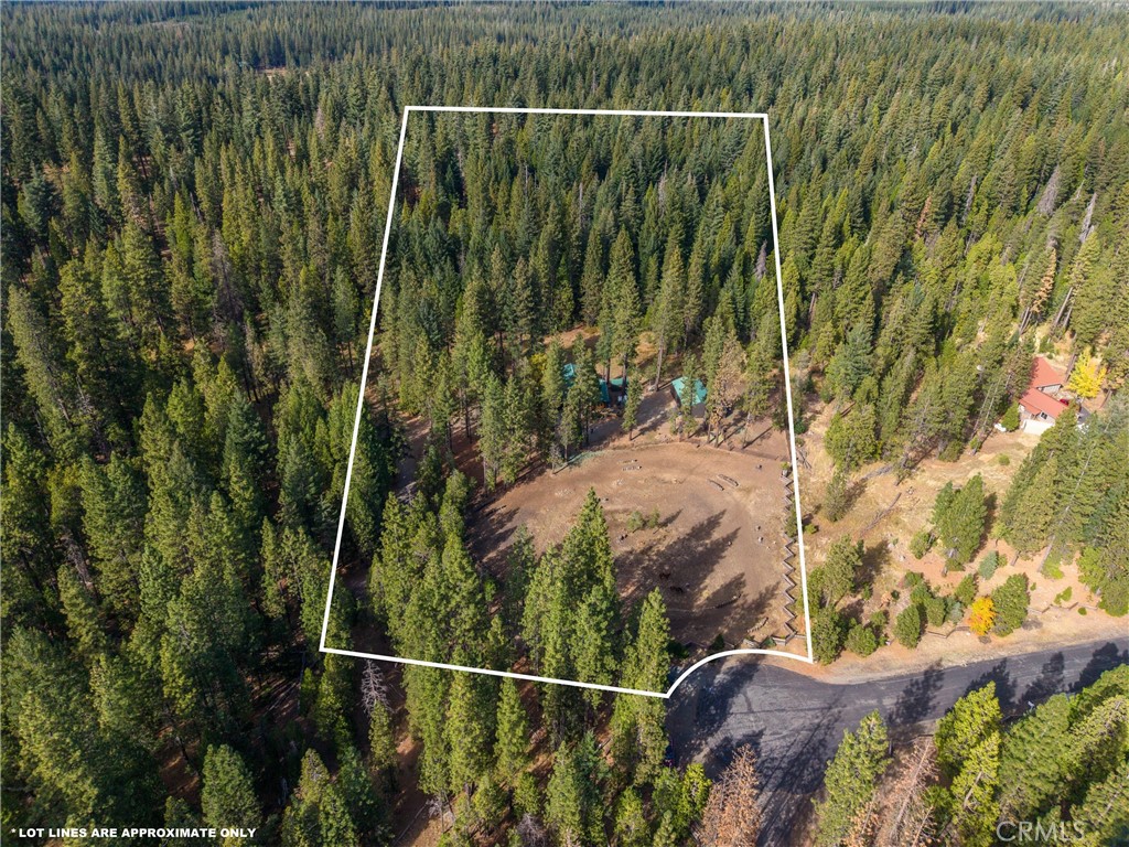 7501 Maddrill Lane Butte Meadows, CA 95942 - Photo 62 of 70 a view of a yard and swimming pool