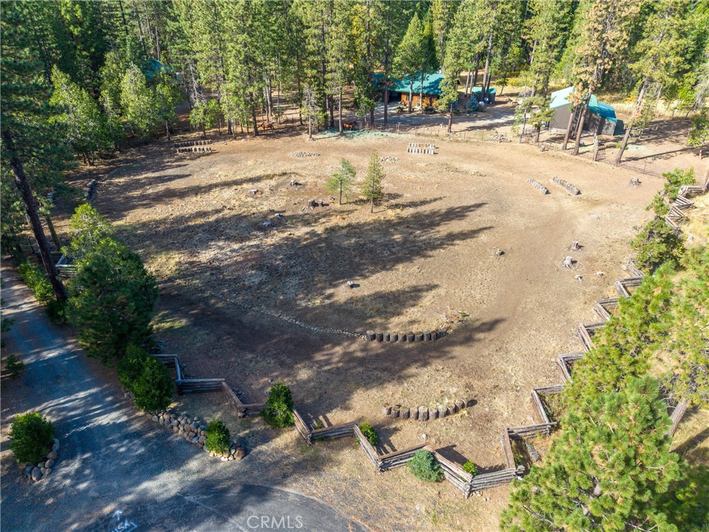 7501 Maddrill Lane Butte Meadows, CA 95942 - Photo 63 of 70 a view of a yard with snow on the road