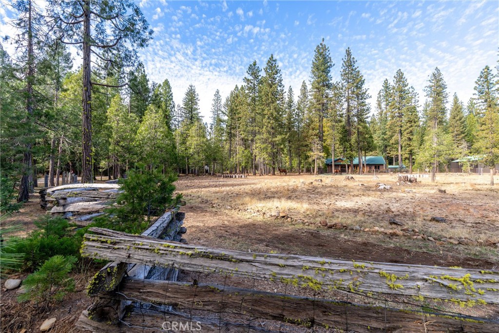 7501 Maddrill Lane Butte Meadows, CA 95942 - Photo 64 of 70