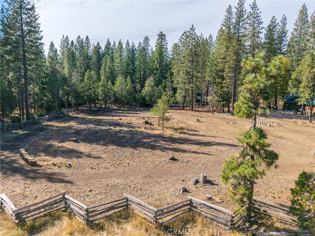 7501 Maddrill Lane Butte Meadows, CA 95942 - Photo 70 of 70 a view of a yard with plants and trees