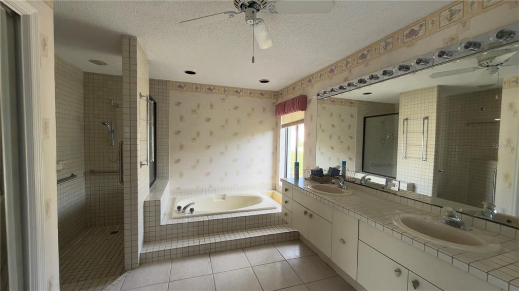5040 Pinelake Road Wesley Chapel, FL 33543 - Photo 11 of 38 a bathroom with a bathtub shower sink and mirror