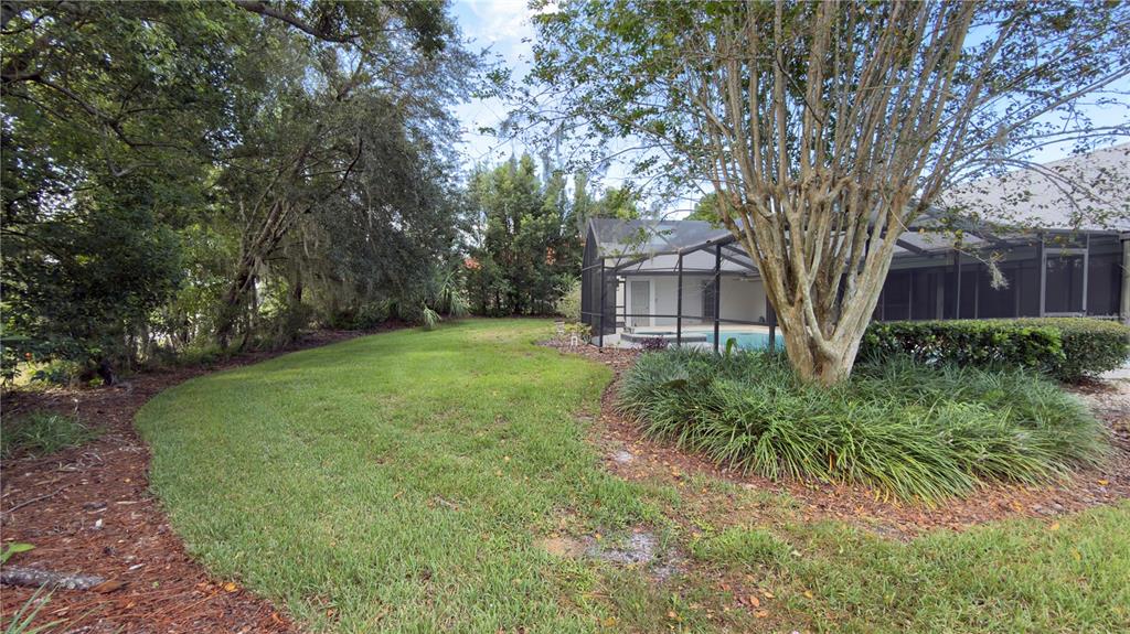 5040 Pinelake Road Wesley Chapel, FL 33543 - Photo 13 of 38 a view of a backyard with large trees