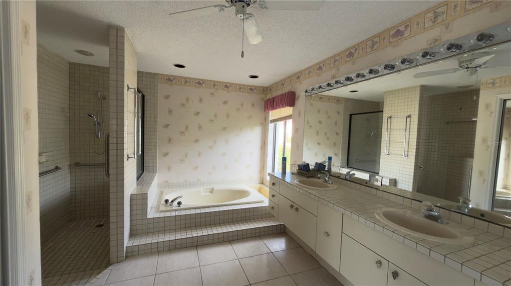 5040 Pinelake Road Wesley Chapel, FL 33543 - Photo 10 of 38 a spacious bathroom with a granite countertop tub sink and mirror