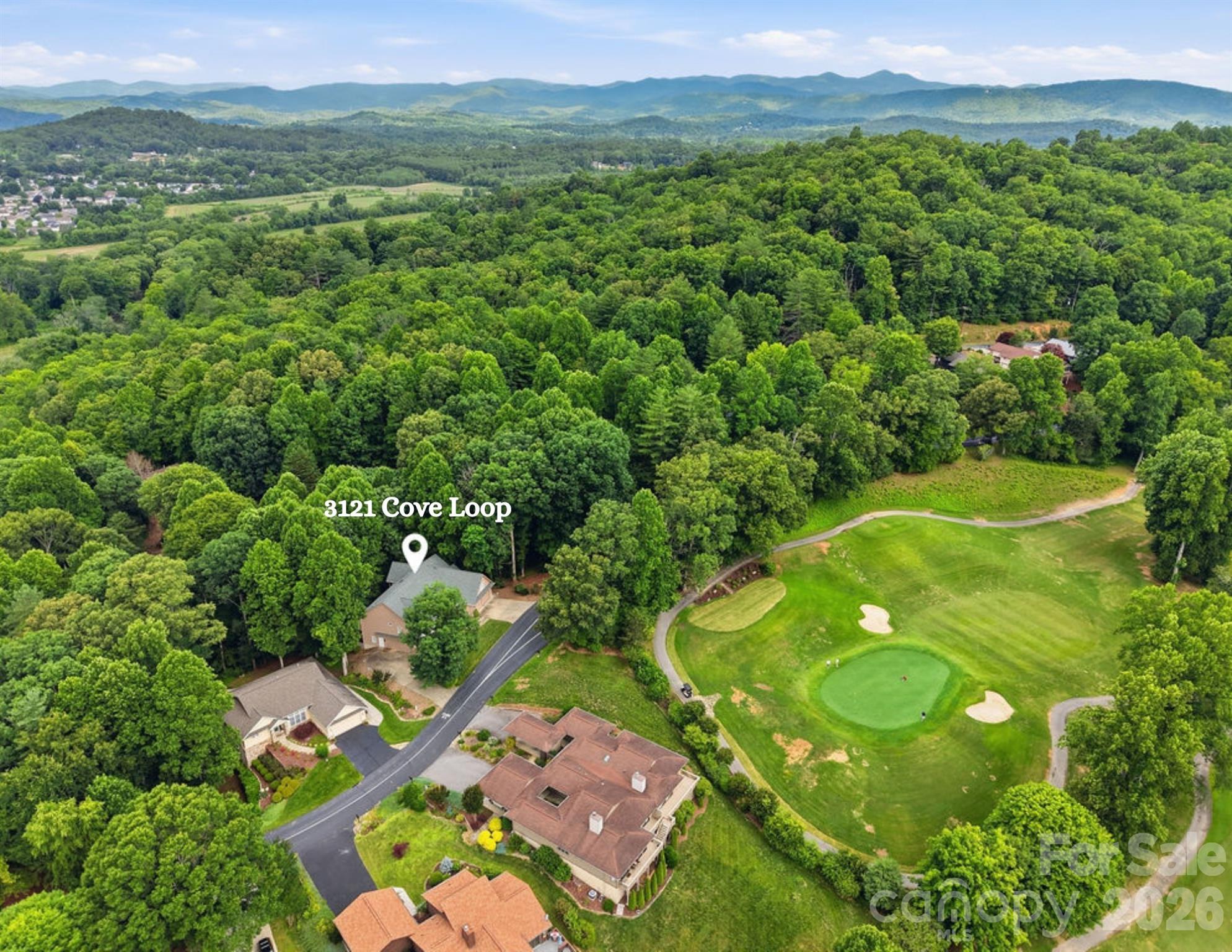 3121 Cove Loop Road Hendersonville, NC 28739 - Photo 3 of 48