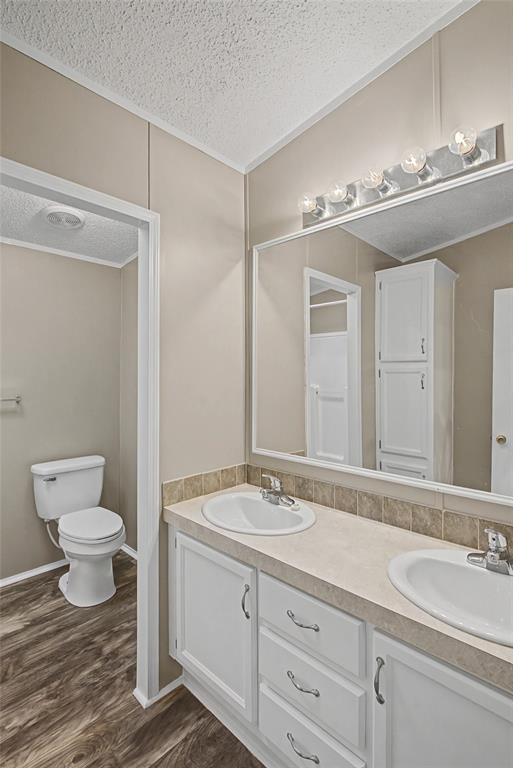 428 Cash Blackmon Road Logansport, LA 71049 - Photo 25 of 40 a bathroom with a double vanity sink a toilet and a mirror