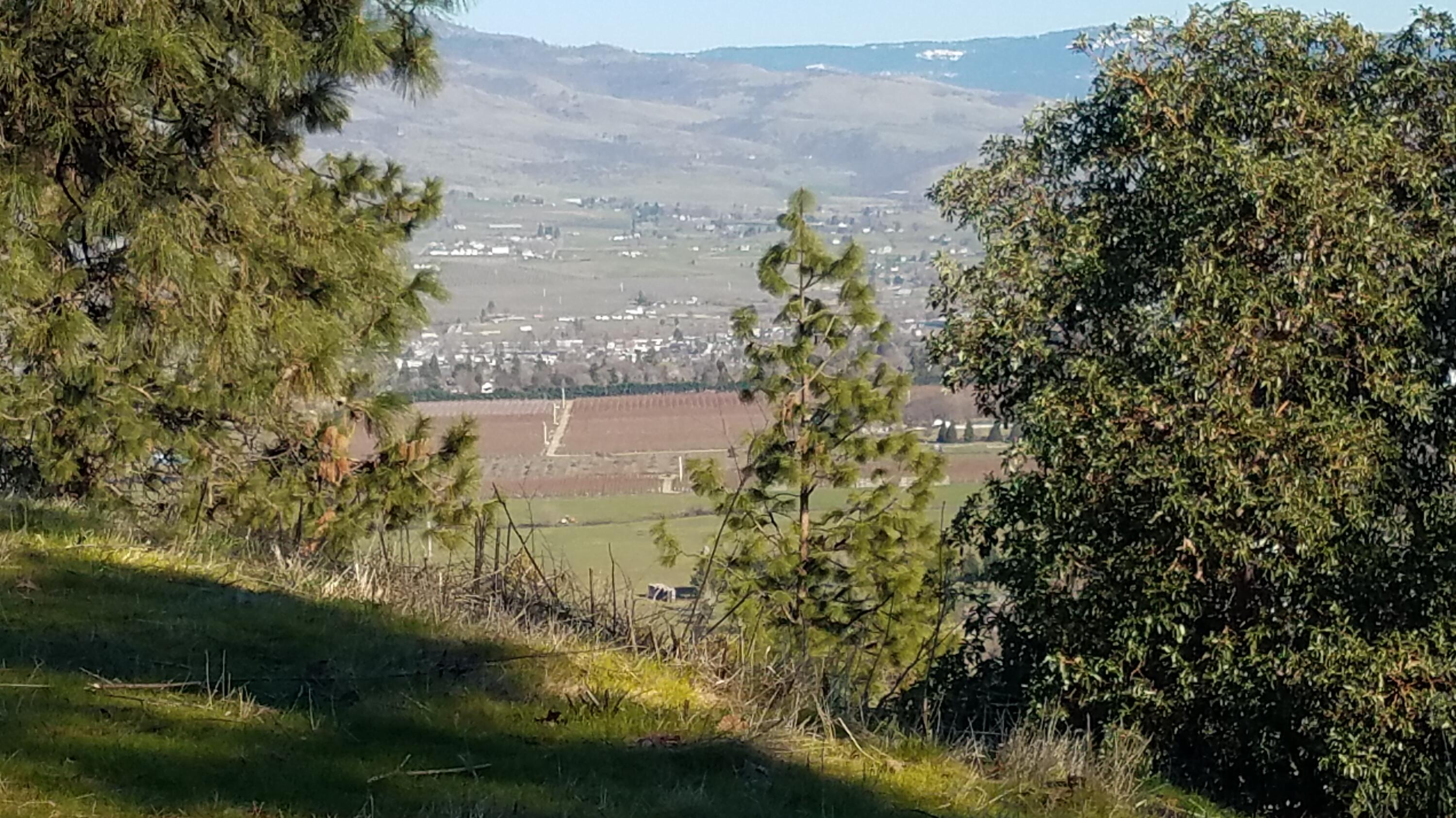 6318 Adams Road Talent, OR 97540 - Photo 33 of 39 20250228_151400