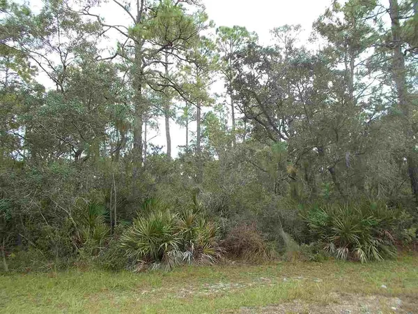 $18,000 | 25 Piper Lane, Panacea, FL 32346
