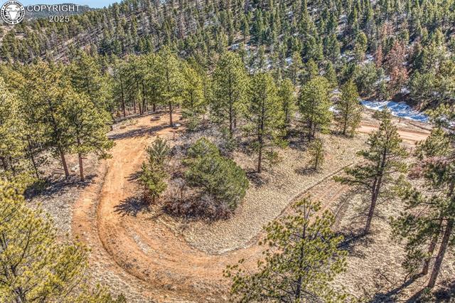 1389 Buttonwood Road Canon City, CO 81212 - Photo 1 of 39 Gallery Image 1